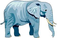 Go to Elephants