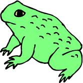 Go to Frogs