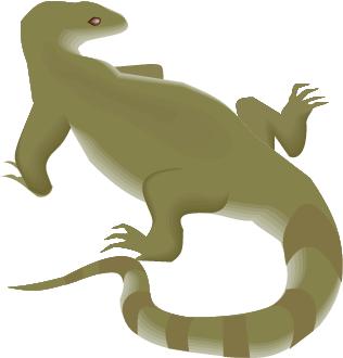 Go to Lizards