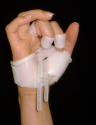 Go to Occupational Therapy
