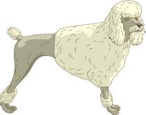 Go to Poodles
