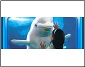 Go to Aquariums