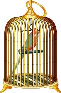 Go to Birds