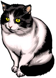 Go to Cats