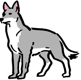 Go to Dogs