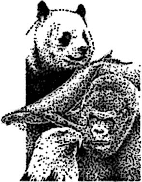 Go to Endangered Species