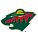 Go to Minnesota Wild