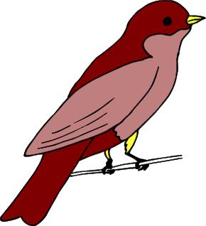Go to Songbirds