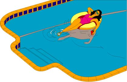 Go to Swimming