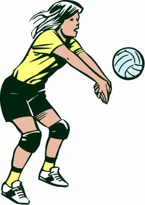 Go to Volleyball