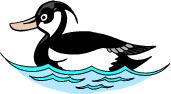 Go to Water Birds